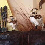 Bed & Breakfast Al Vecchio Camino Rotonda