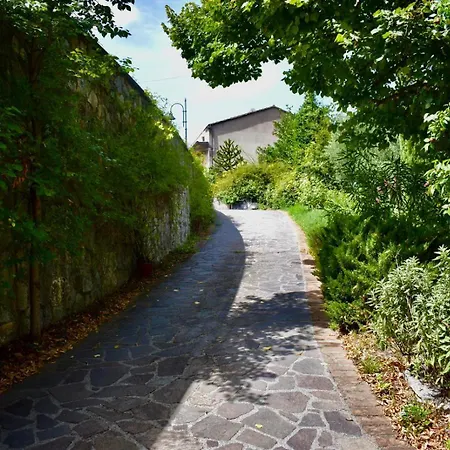 Al Vecchio Camino Rotonda