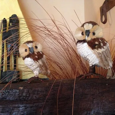 Bed & Breakfast Al Vecchio Camino Rotonda