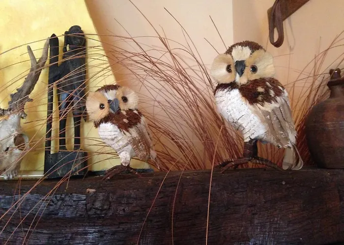 Bed & Breakfast Al Vecchio Camino Rotonda